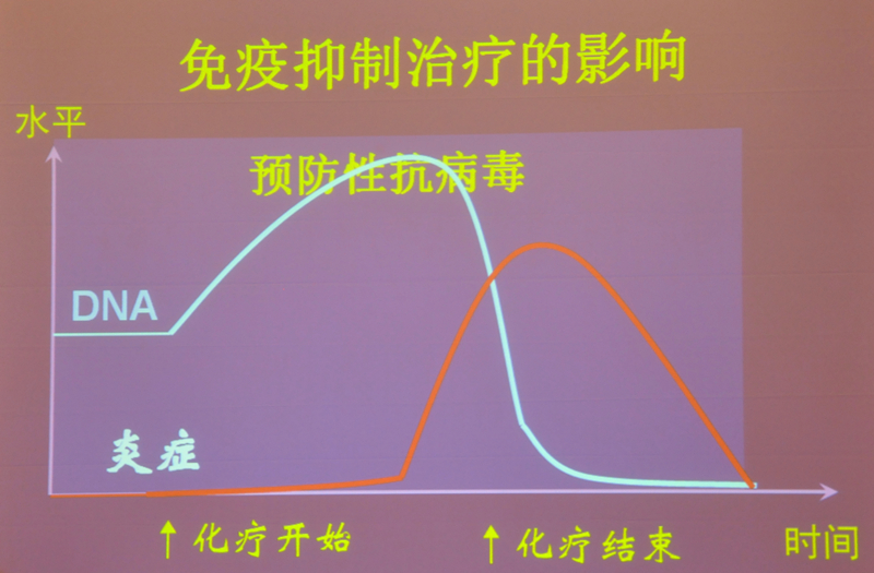 肝炎新進展揭秘，小巷深處的秘密小店探索