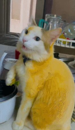 男友最新動態(tài)，科技巔峰之作，引領未來生活新紀元風潮