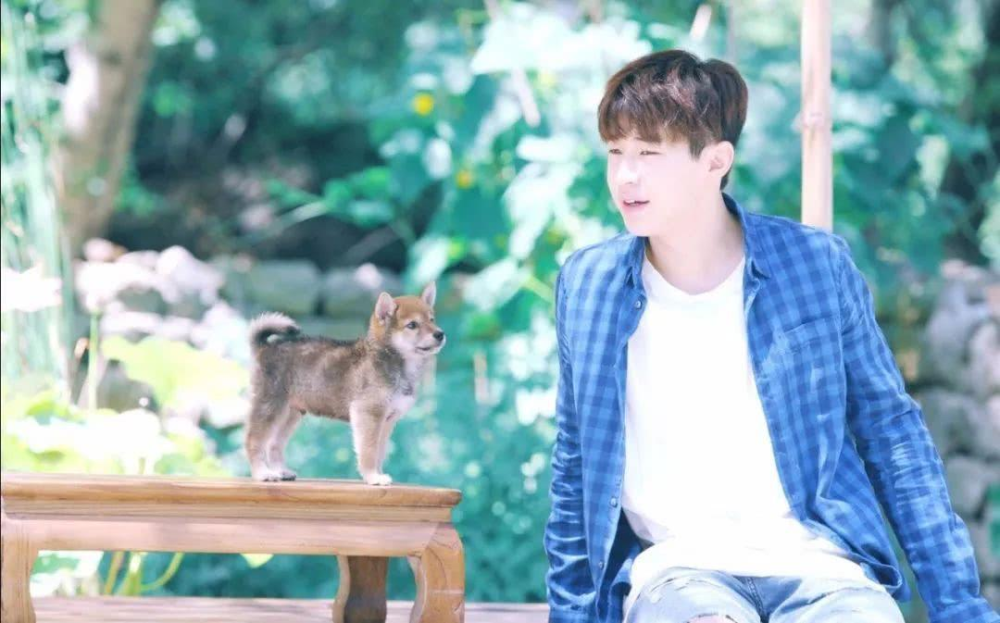 夏雪黃磊攜手演繹別樣精彩人生，新作品震撼來(lái)襲！???