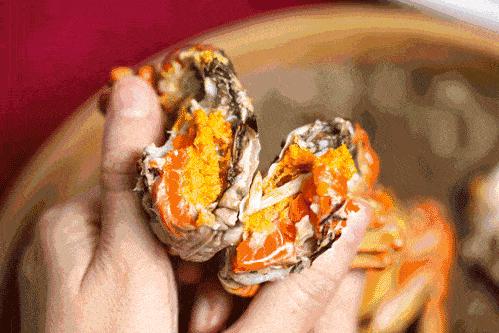 ??陽澄湖螃蟹上市季節(jié)情報，吃貨必知的秋季美味盛宴！??