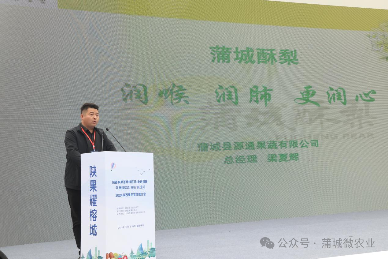 梨城資訊速遞，探索梨城新動態(tài)與發(fā)展趨勢