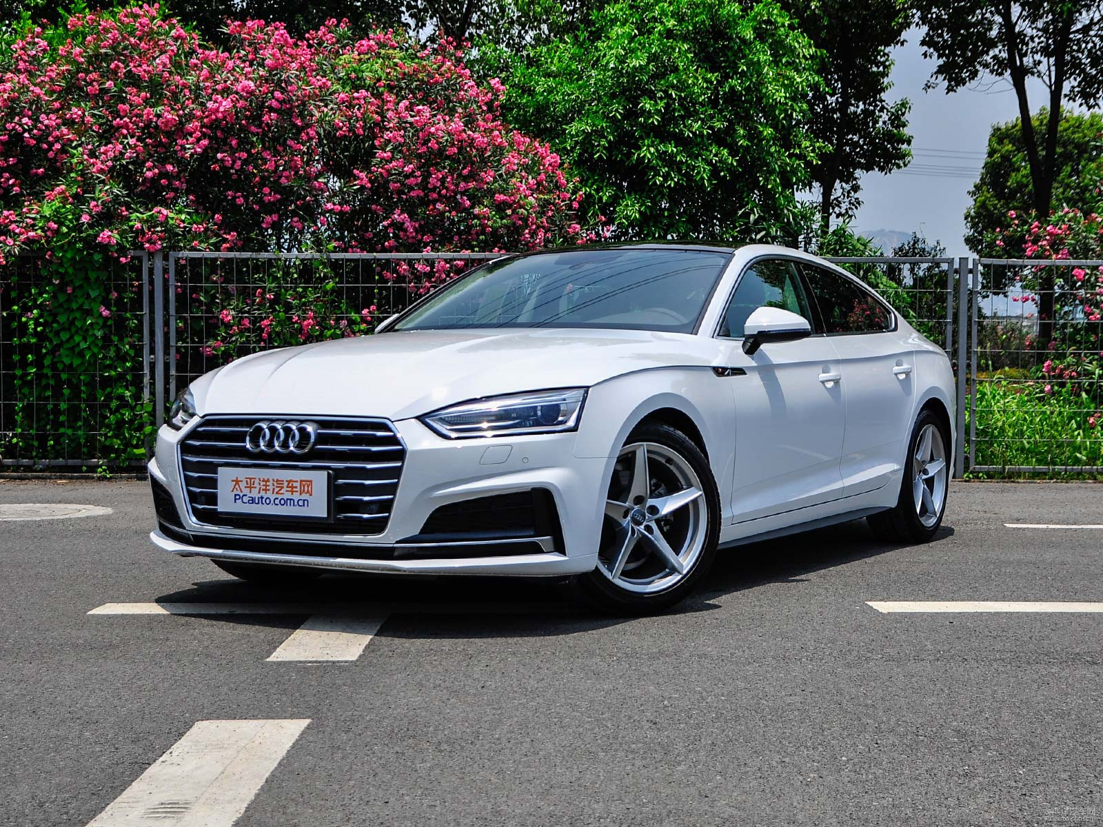 新款奧迪A5價格及圖片，自然美景探索之旅的絕佳選擇