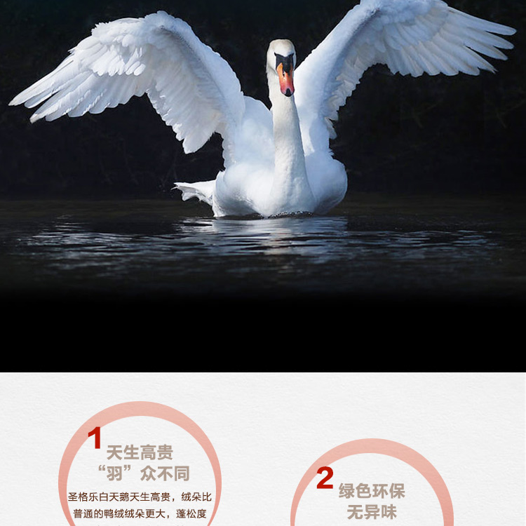 探索小巷羽絨寶藏，90白鵝絨價格與溫暖故事