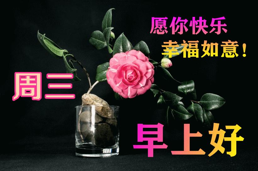 最新早晨問候動態(tài)表情包，溫馨問候，從表情開始！