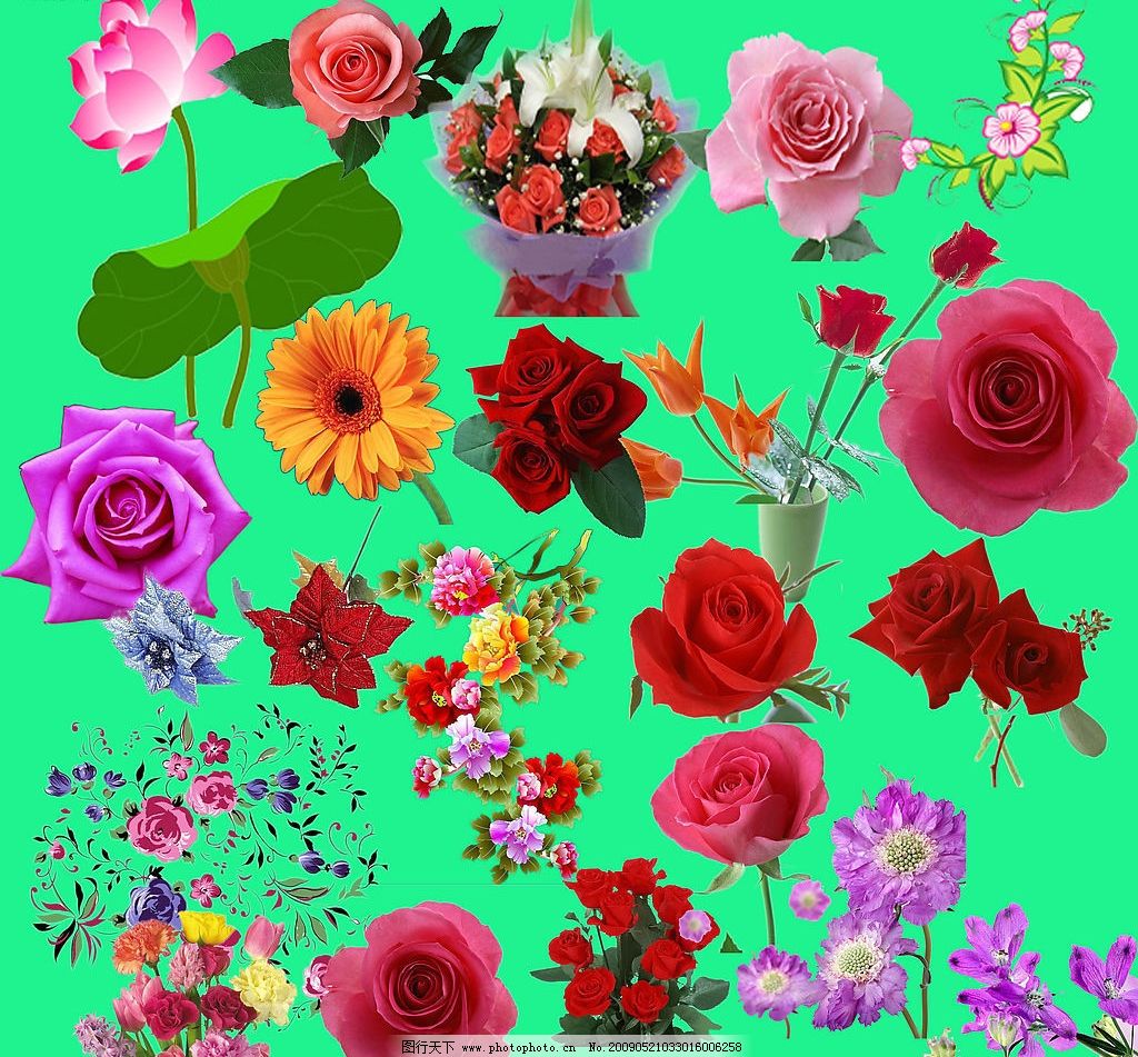 最新花款下載，愛(ài)與陪伴的溫馨之旅