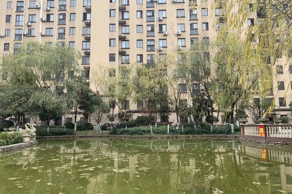 中豪明珠城最新價(jià)格，時(shí)代印記與城市的脈動(dòng)