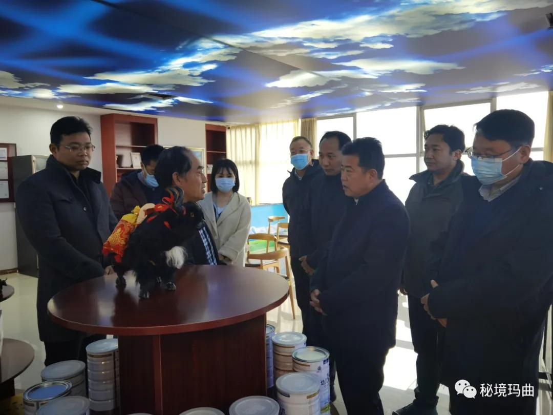 高原之寶上市，學(xué)習(xí)、蛻變與自信的輝煌之旅