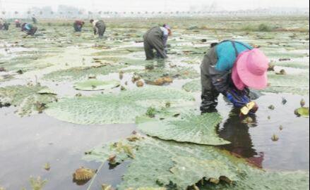 王碼五最新版，鍵盤上的友情與家的溫馨體驗(yàn)