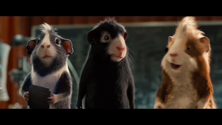 豚鼠電影,豚鼠電影，科技巨獻，重塑觀影體驗