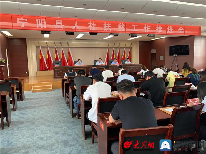 寧陽網(wǎng)最新資訊，城市中的溫情日常