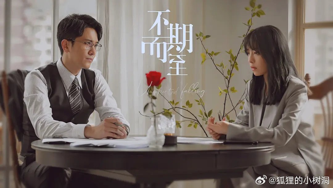 不期而至電視劇，從入門到進階的觀看指南