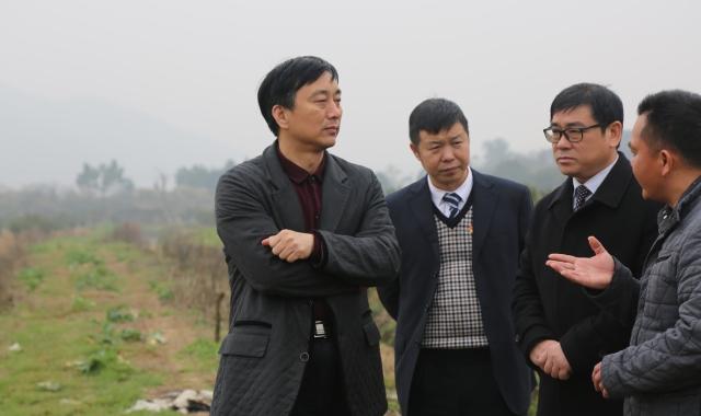 錦富技術(shù)最新動態(tài)更新，最新消息匯總