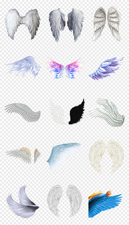 動(dòng)漫翅膀繪制指南，從白紙起步，繪出飛翔的勵(lì)志翅膀！