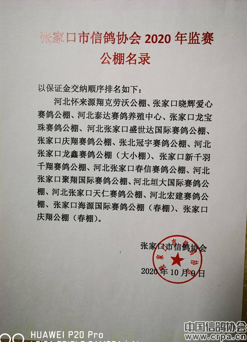 東光信鴿協(xié)會最新通告，小巷深處的獨特風味揭秘與信鴿活動更新通知