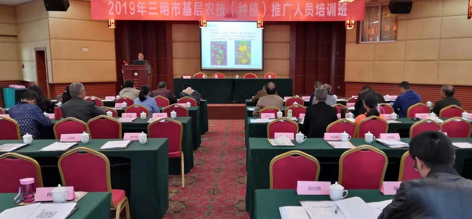 豇豆最新，廚房中的友情與家的溫馨