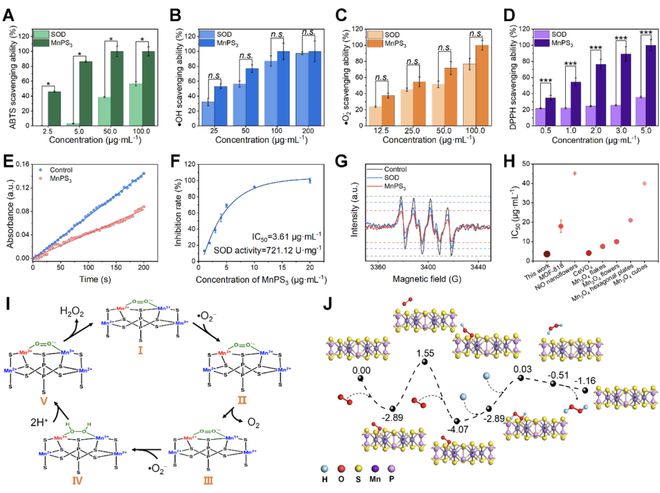 頭發(fā)再生研究新動(dòng)態(tài),頭發(fā)再生研究新動(dòng)態(tài)，小巷深處的秘密秀發(fā)實(shí)驗(yàn)室