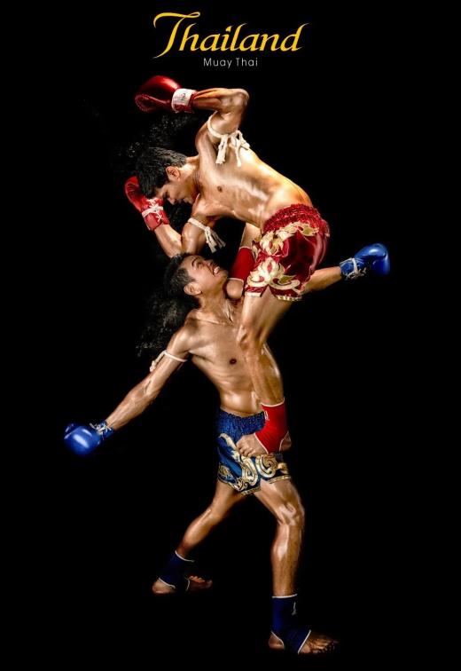 運(yùn)動(dòng)場館燈具 第186頁