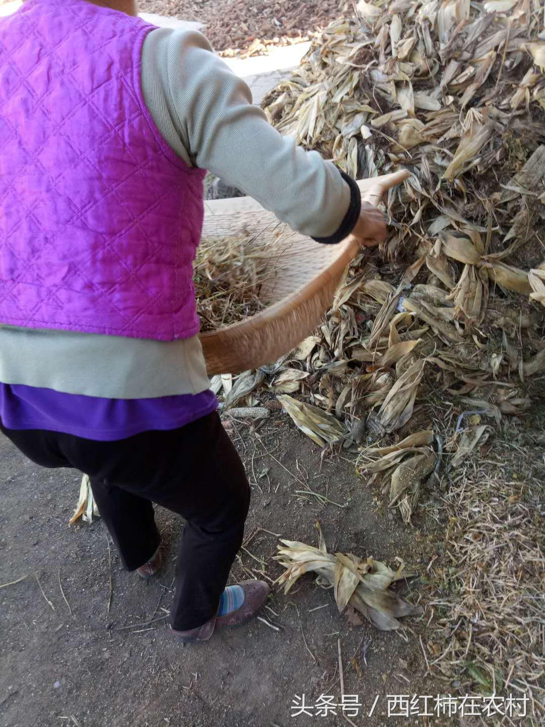 彬縣撤縣設區(qū)最新進展，最新動態(tài)更新