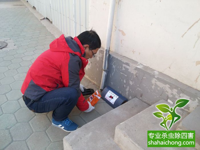 最新滅鼠技術的觀點論述與立場闡述，創(chuàng)新方法的探索與挑戰(zhàn)