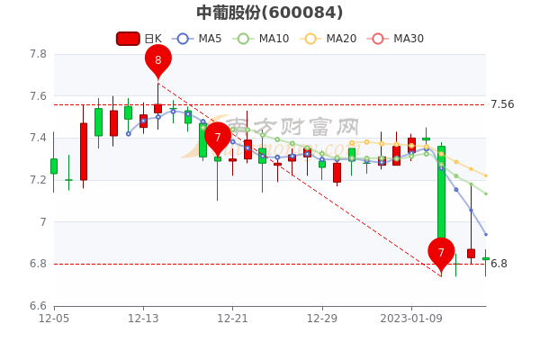中葡股份股票行情深度分析與展望，未來走勢展望及行業(yè)前景預(yù)測。