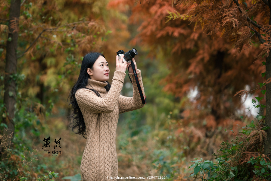 伊人在線電影，探索現(xiàn)代網(wǎng)絡(luò)影視的新境界