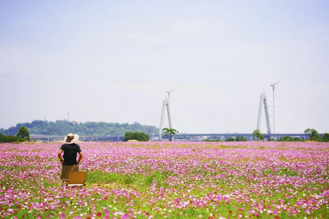 陳小北聚焦科技前沿，引領(lǐng)創(chuàng)新潮流新動態(tài)