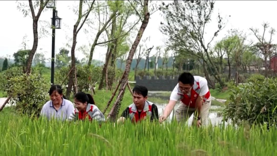 曲陽縣城最新招聘信息揭秘，小巷中的獨特小店等你來探索！