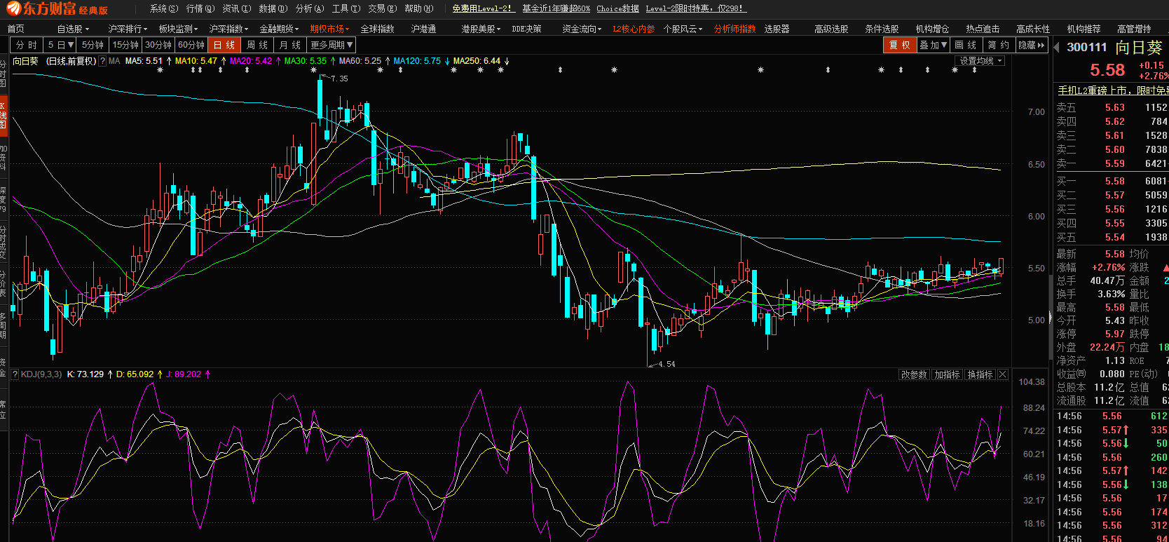股市小天地，友情大天地——我與股票300141的日常故事分享