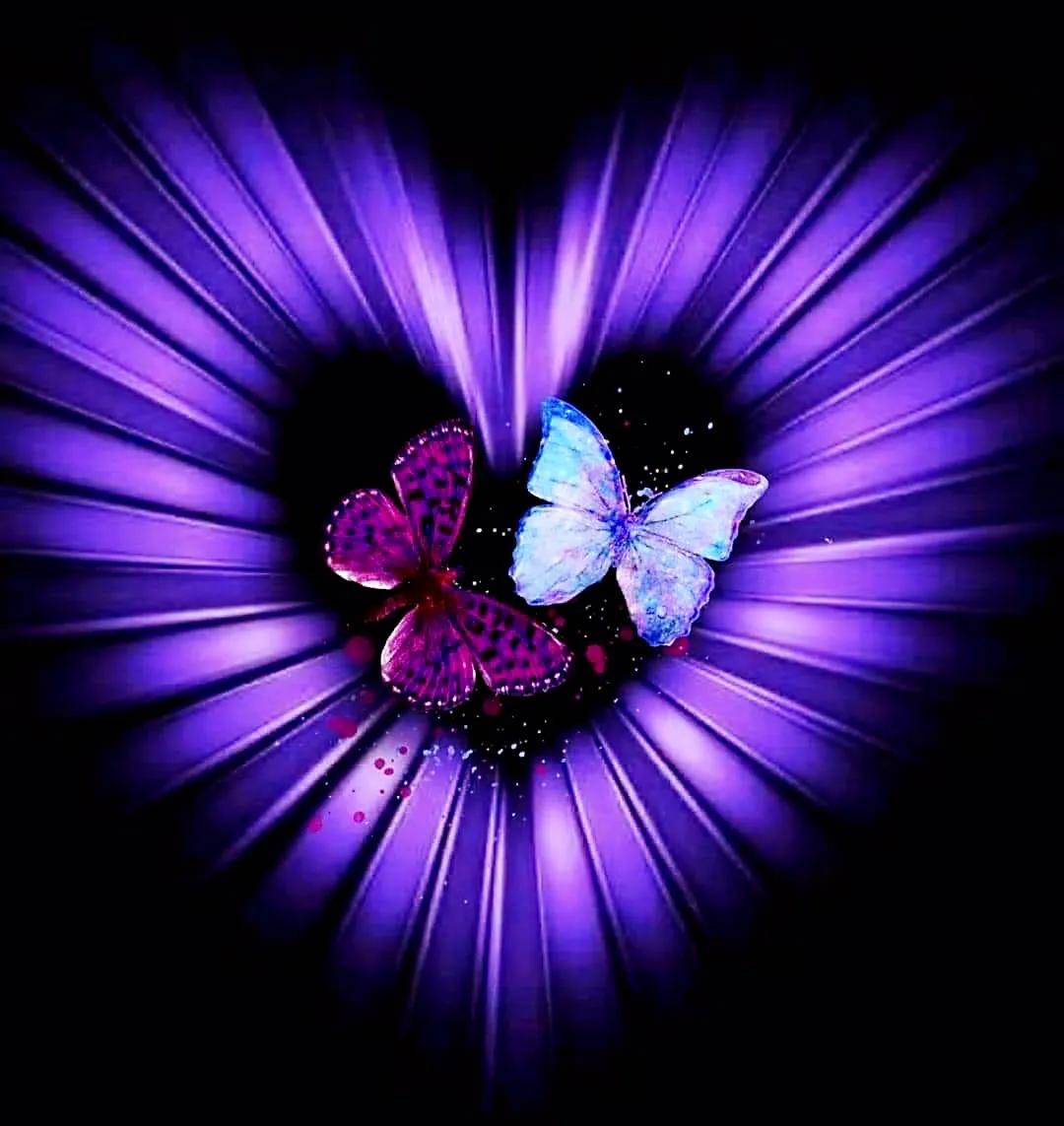 最新情感交流圈，學(xué)習(xí)、成長與自信的力量之源