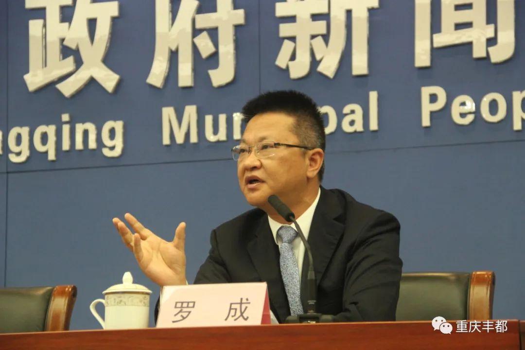 豐都新聞快訊，日常溫情與陪伴的瞬間