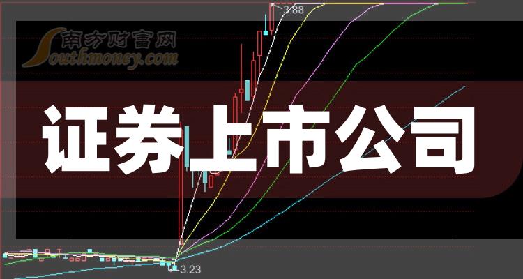 科技巨頭引領(lǐng)下的全新視界，股票上市公司概覽