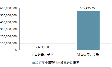 關于水貂行情的深度解析與預測，展望2025年水貂市場趨勢