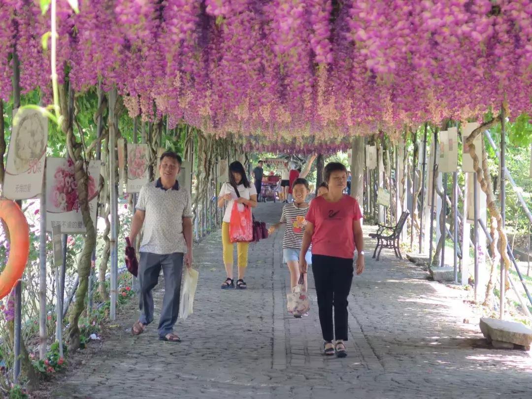 收入寶全新版本，家庭與友情的交織故事