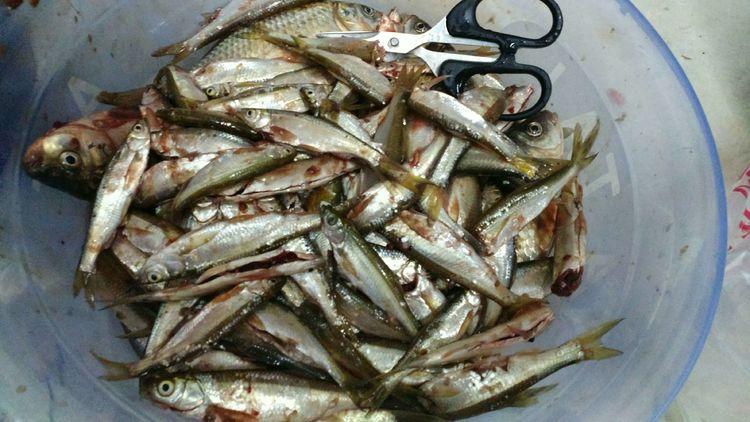 昆明最新野釣地點(diǎn)探索，重拾生活激情與自信的自然之旅