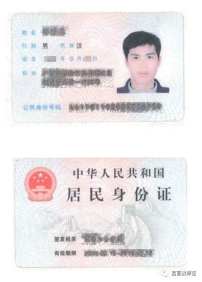 最新證照，友情與陪伴的溫馨故事之旅