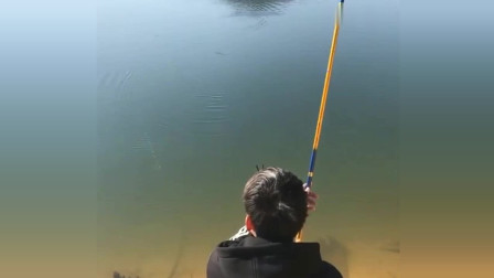 楊柏文最新垂釣視頻，從初學(xué)者到進階用戶的技能提升指南