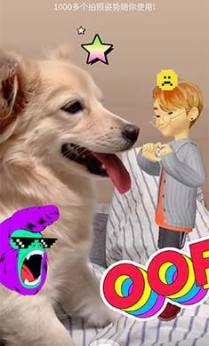 崽崽最新版下載，一段充滿愛與陪伴的溫馨旅程