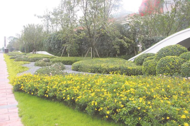 嬢王演員的自然之旅，邂逅美景，尋找內(nèi)心平和之道