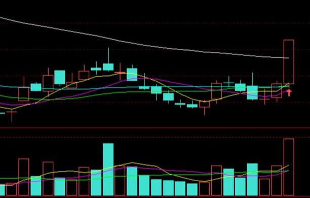 融捷最新公告詳解，任務(wù)完成指南與技能學(xué)習(xí)步驟全面解析