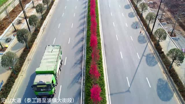關(guān)花大道最新進(jìn)展，矚目盛景呈現(xiàn)！