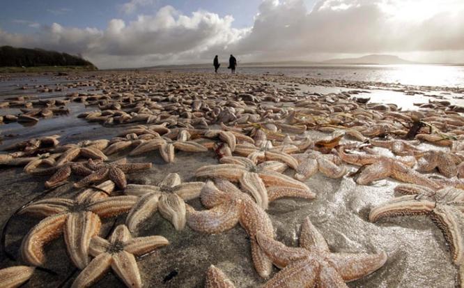 死亡擱淺電影，小巷深處的獨(dú)特觀影之旅