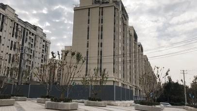 趙村最新動態(tài)，鄉(xiāng)村振興新篇章開啟