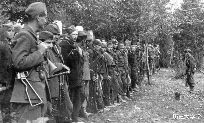 南斯拉夫電影二戰(zhàn)老片，自然美景背后的探索之旅