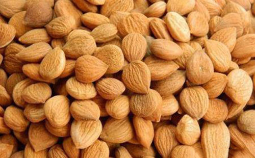 苦杏仁行情深度解析，背景、事件與地位探究