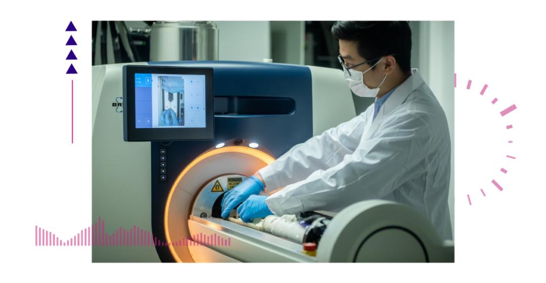 香港脊髓研究取得新進(jìn)展，探索自然美景的心靈之旅新篇章