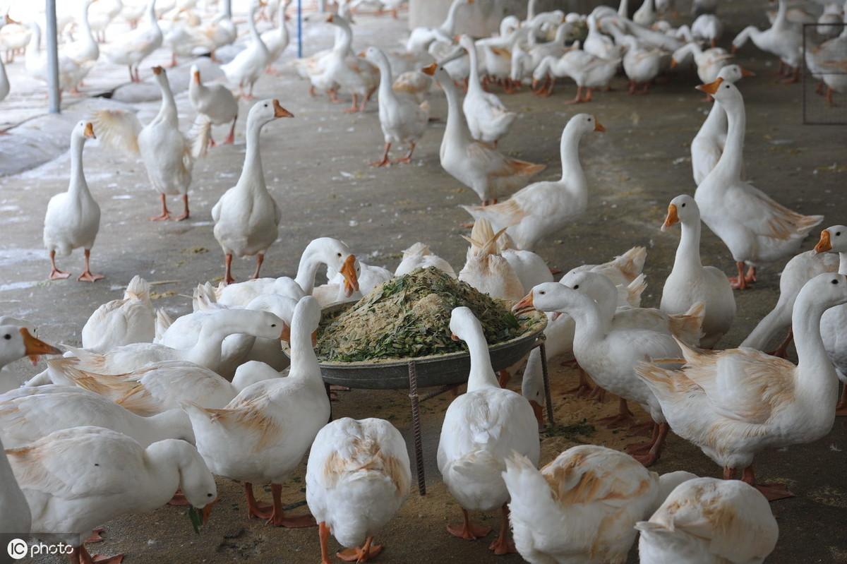 廣場(chǎng)燈具 第146頁(yè)