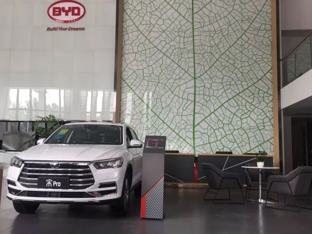 重磅更新，比亞迪最新招聘信息揭秘???