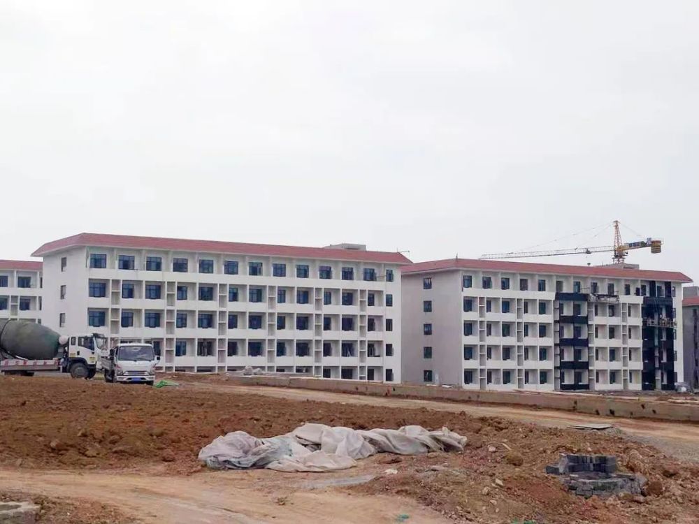 甘谷新聞，大石車禍最新進展及觀點論述深度解析