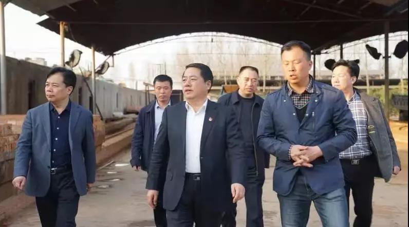 商丘王仲田最新動(dòng)態(tài)，探索自然美景的旅行，尋求內(nèi)心平和之旅