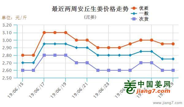 安丘大姜最新行情，機(jī)遇與自我超越的探尋之旅